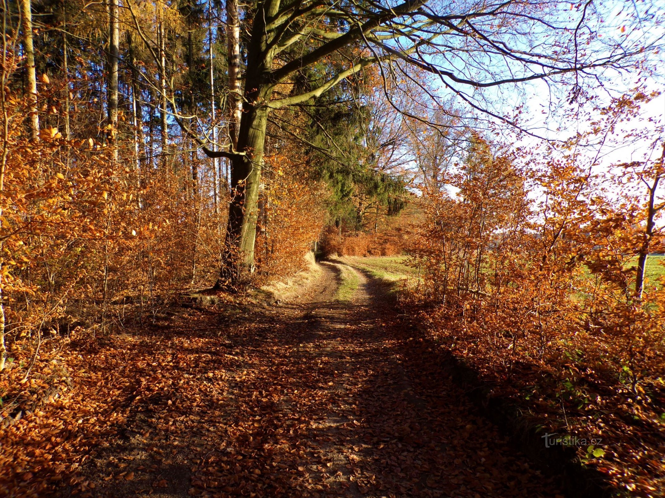 Reise von Končin nach Boušín (9.11.2021. November XNUMX)