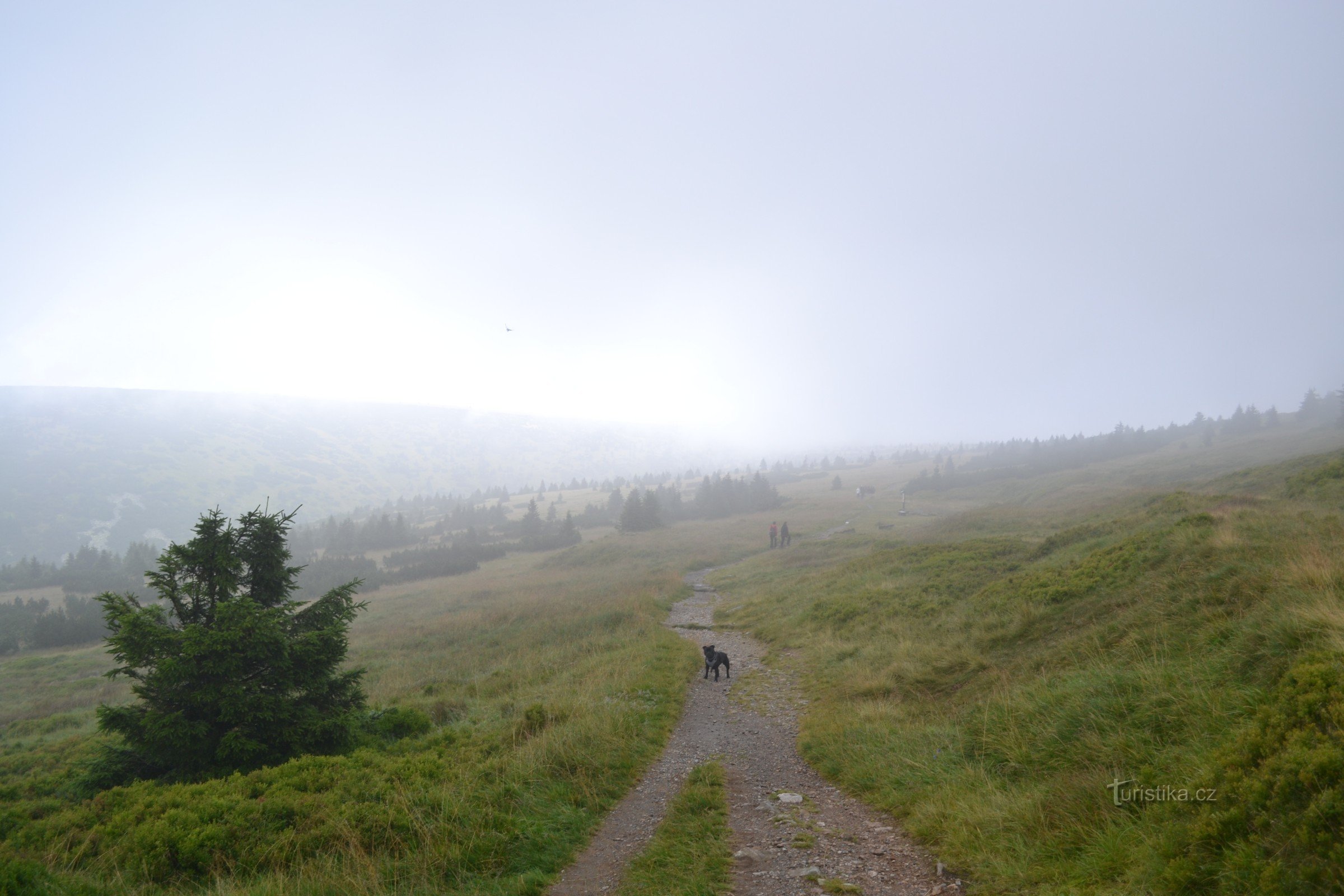 La route de Kozí hřbetů à Luční bouda