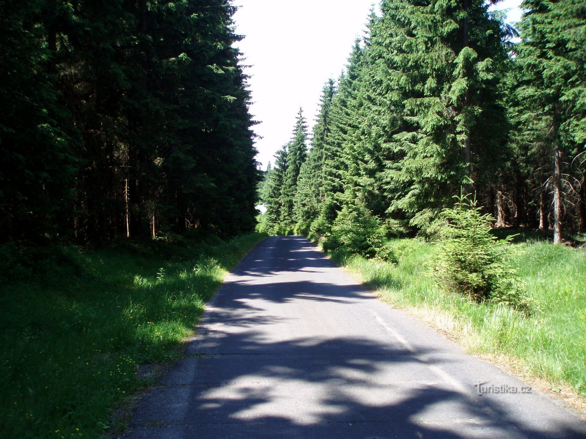 A estrada de Mariánské Buda