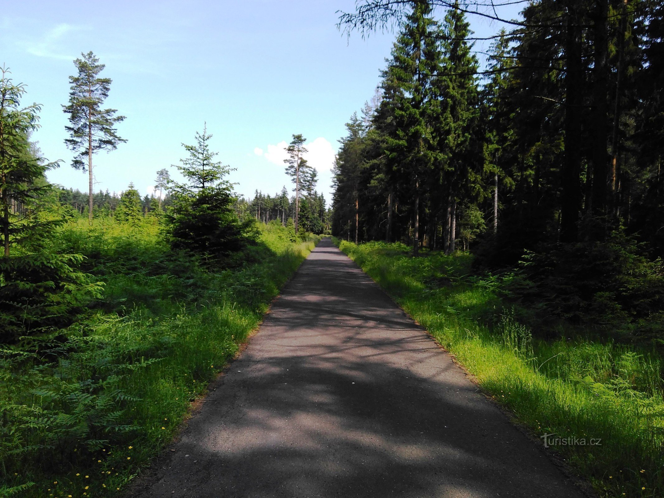 la strada da Maxiček al confine