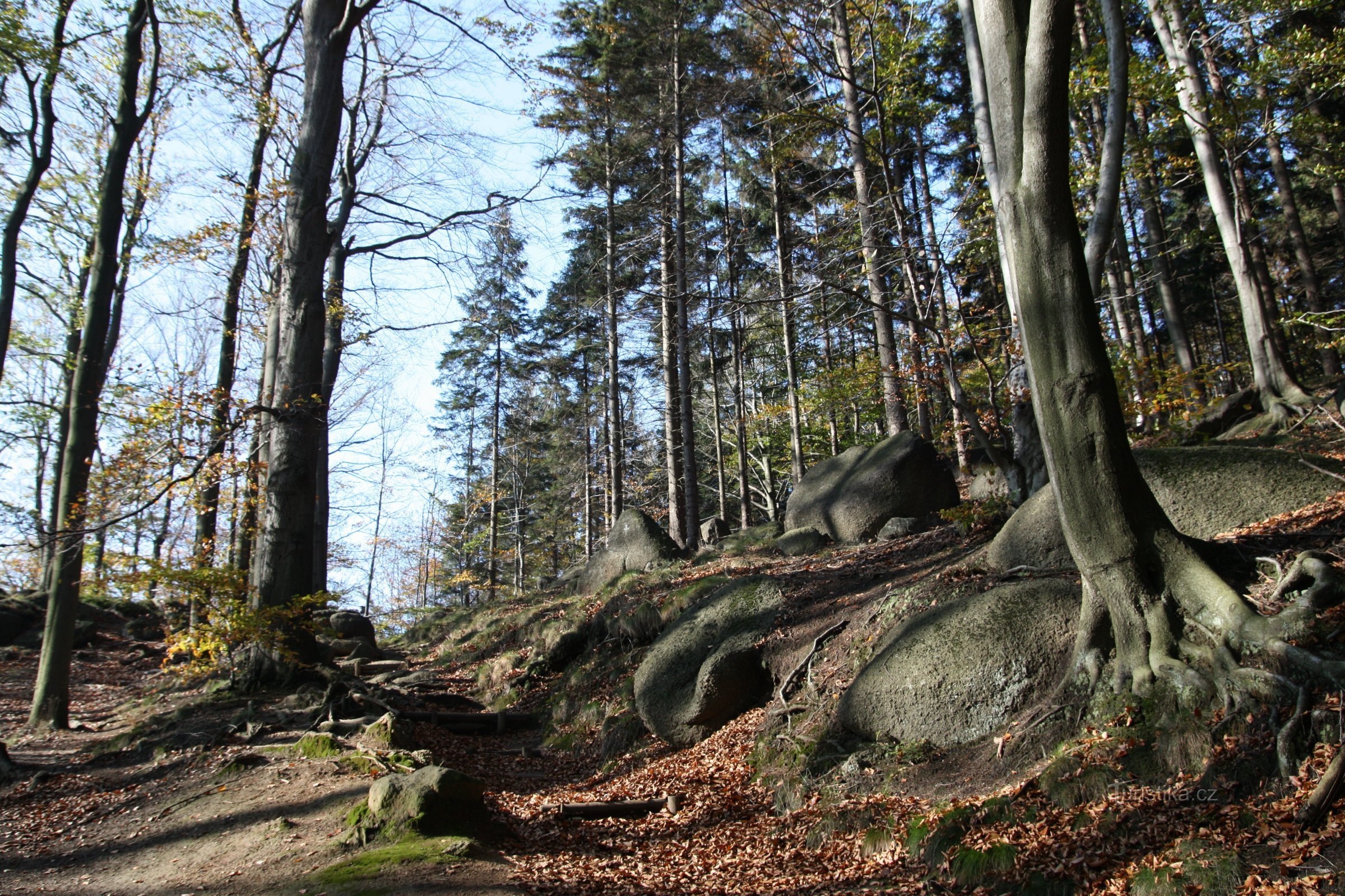 A estrada de Oldřichovský sedlo para Oldřichovský Špičák