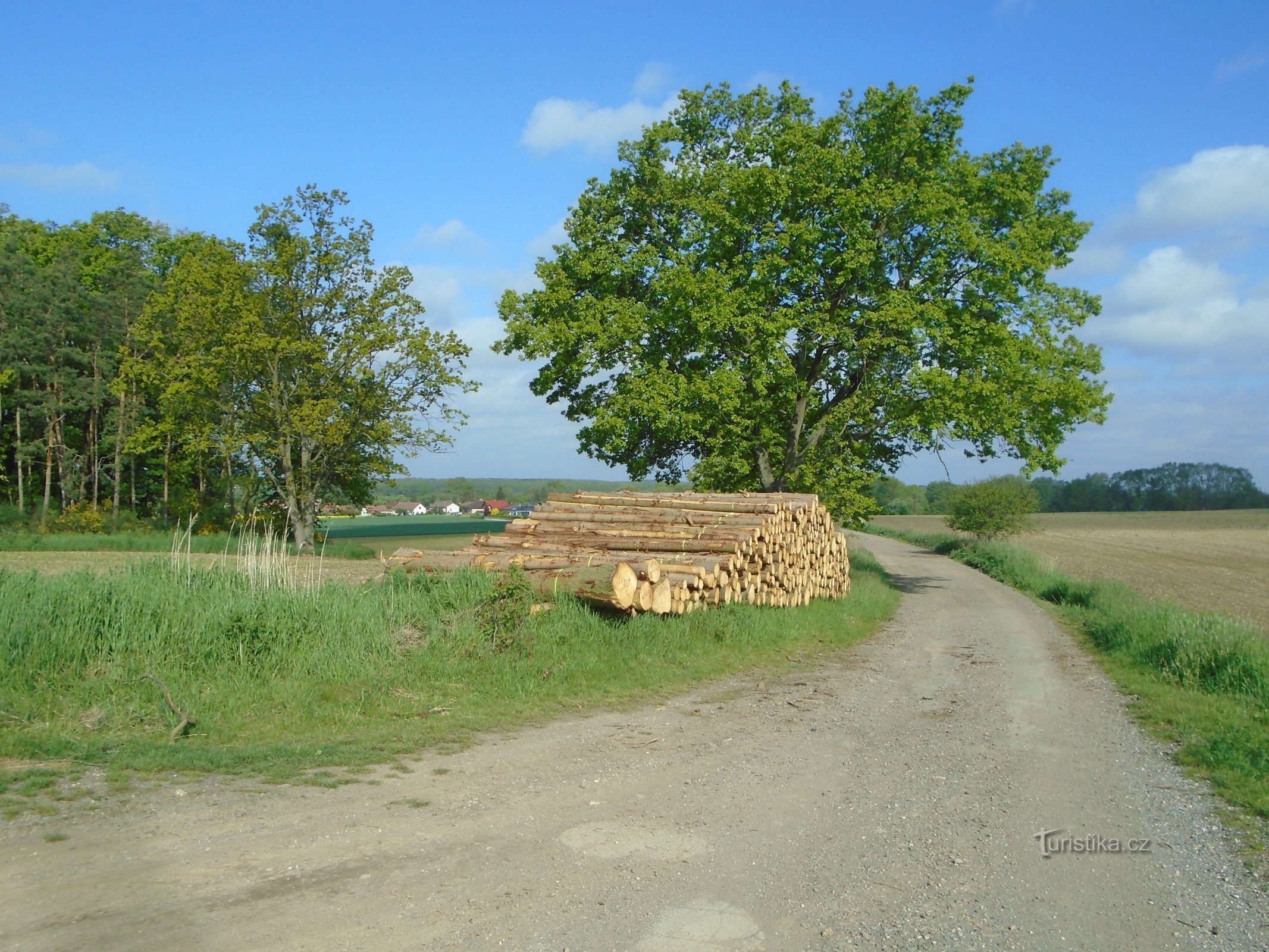 De weg van Radostov naar Kunčice