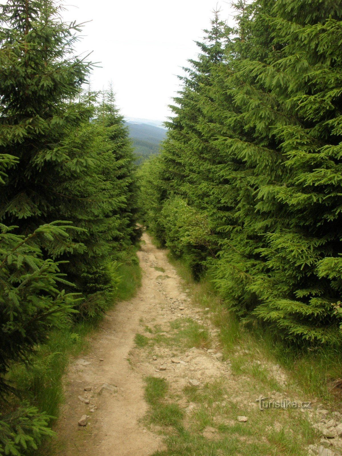 Road from Vysoké