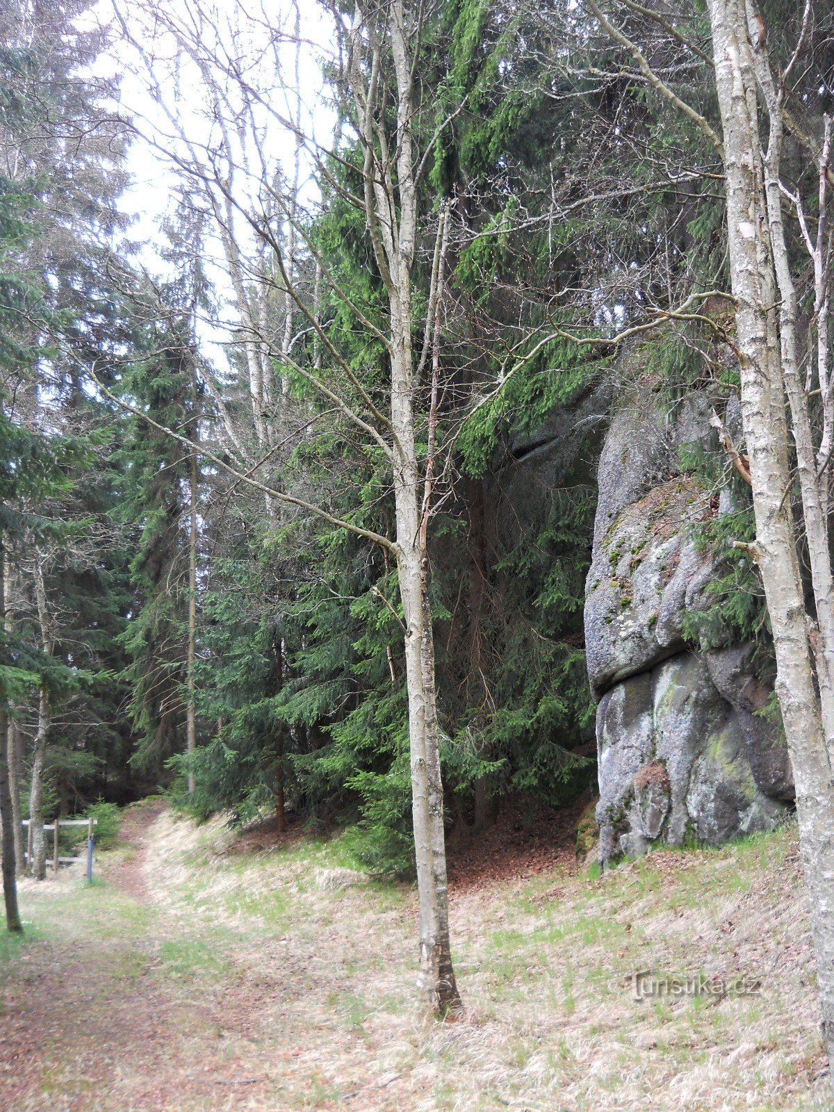 Der Weg hinter dem Steg zum Hang