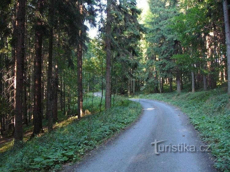 Route aus der Richtung Nad Oznicí bis zum Wegweiser Nr.+z: Route aus der Richtung Nad Oznicí bis zum Wegweiser Nr.+z