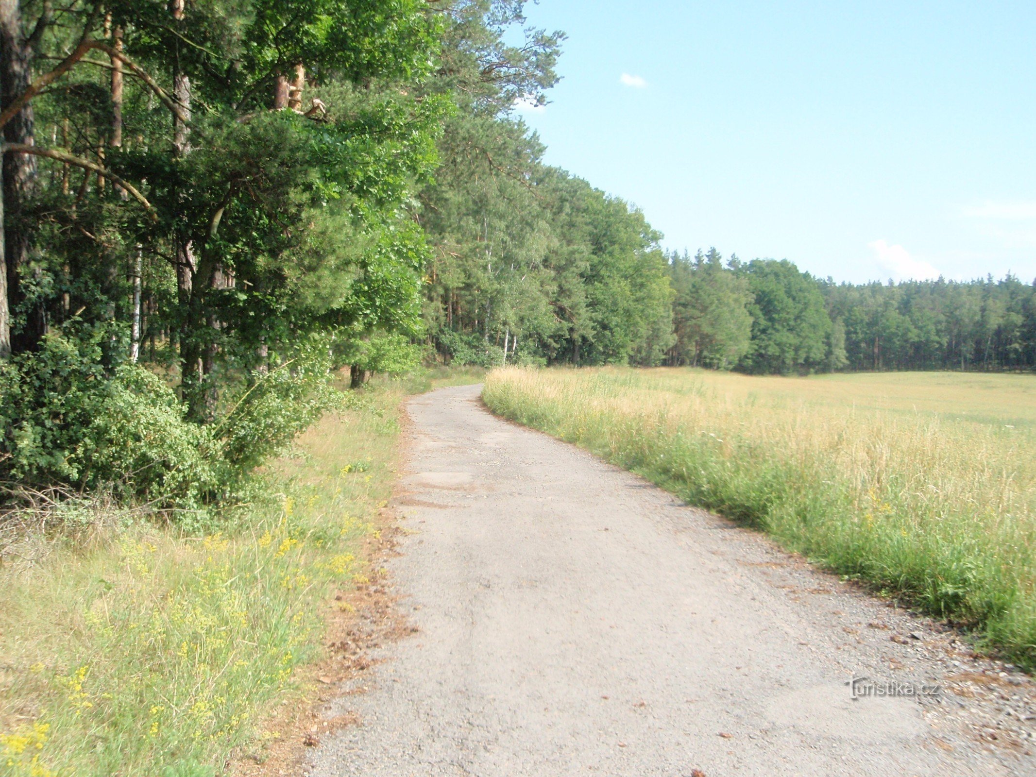 A estrada de Srní