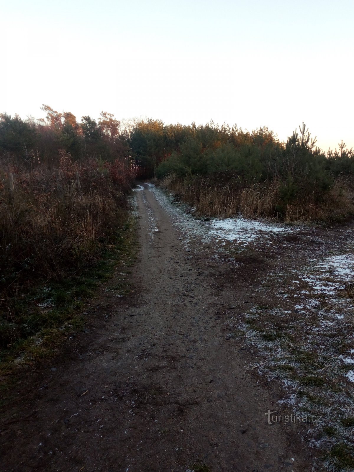 The road from Stará Boleslav towards Káraný