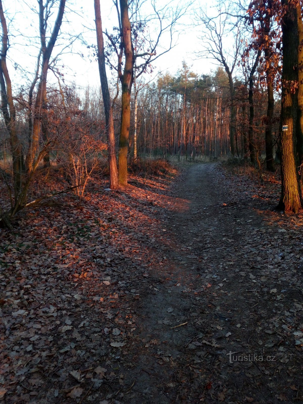 La strada da Stará Boleslav verso Káraný