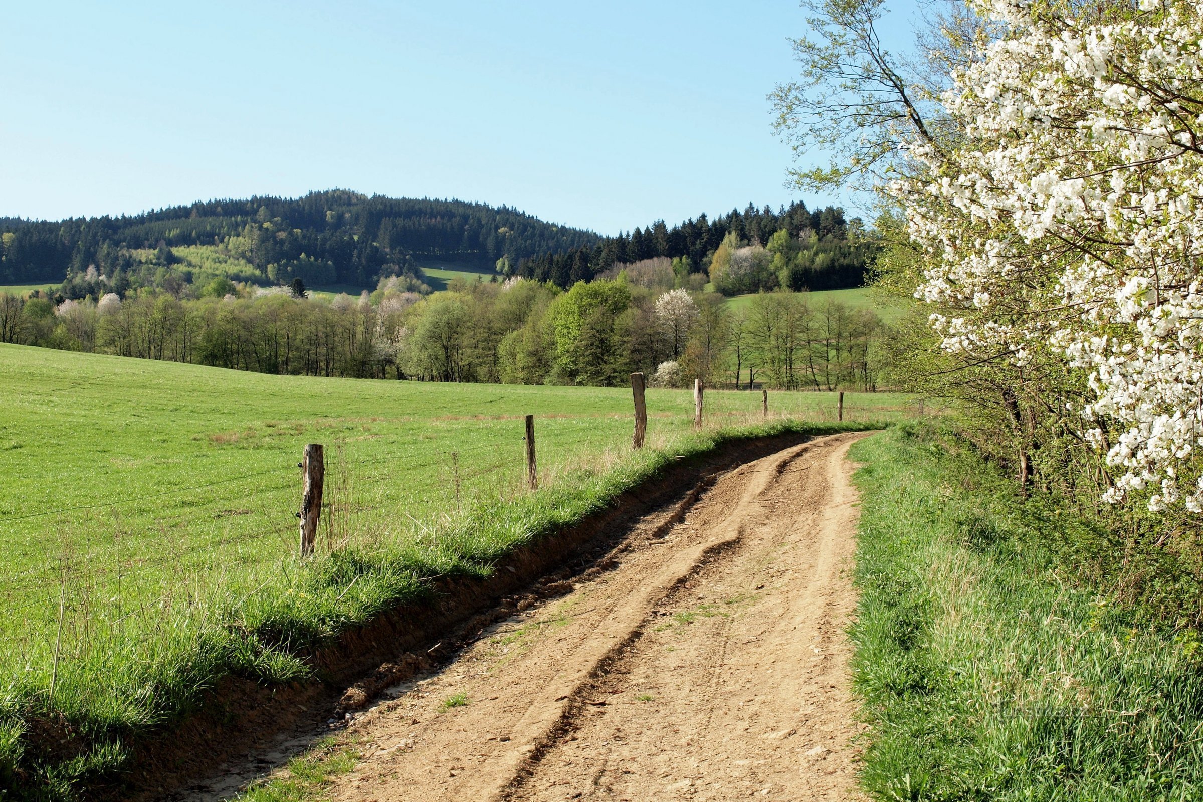 Cesta od Střelná do Končite