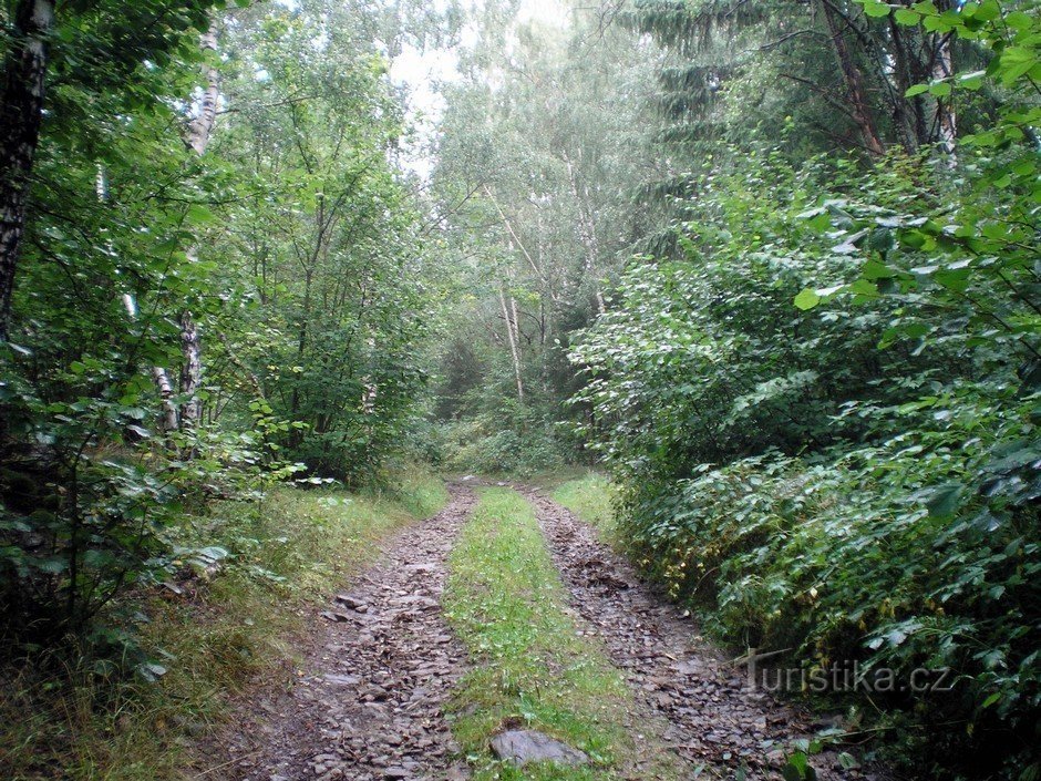 The road from Svojše.