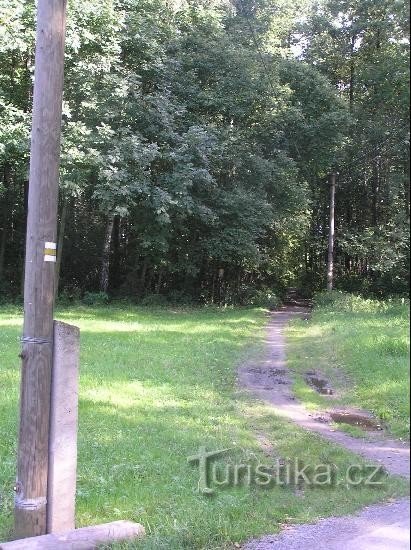 Percorso: percorso turistico segnato in giallo, che conduce lungo il sentiero didattico Hvozdnice fino a Slavkov