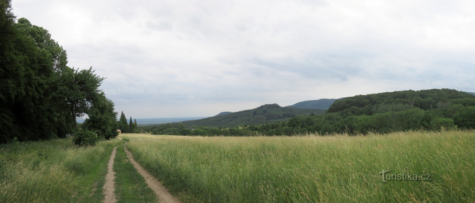 Der Weg führt zunächst bis zum Waldrand