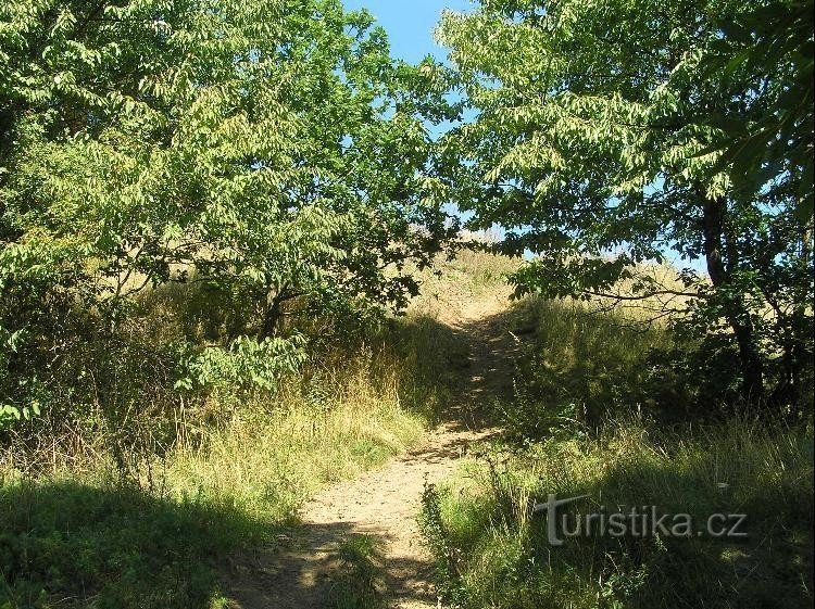 Chemin vers le château : Un chemin discret vers les ruines du château de Hoštejn.