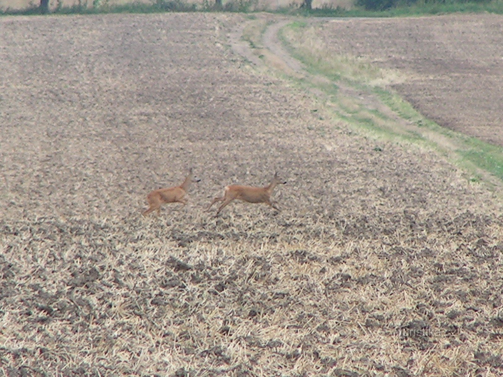 Onderweg