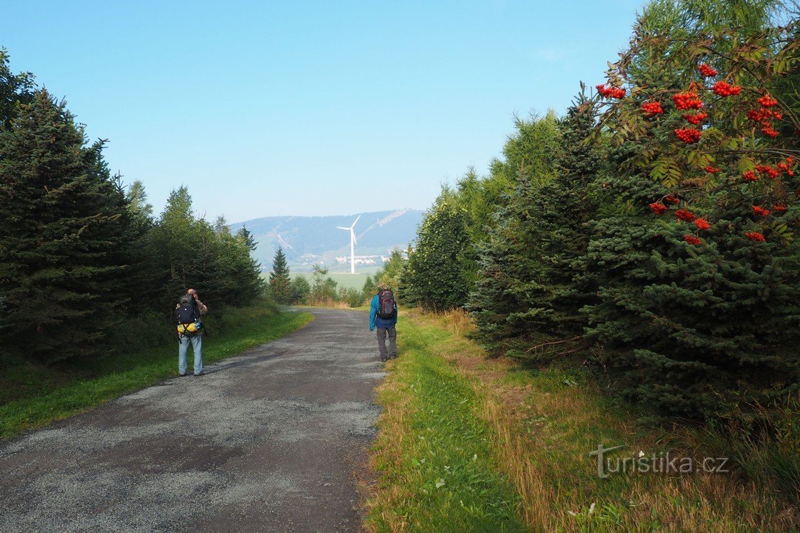 По пути в Коут