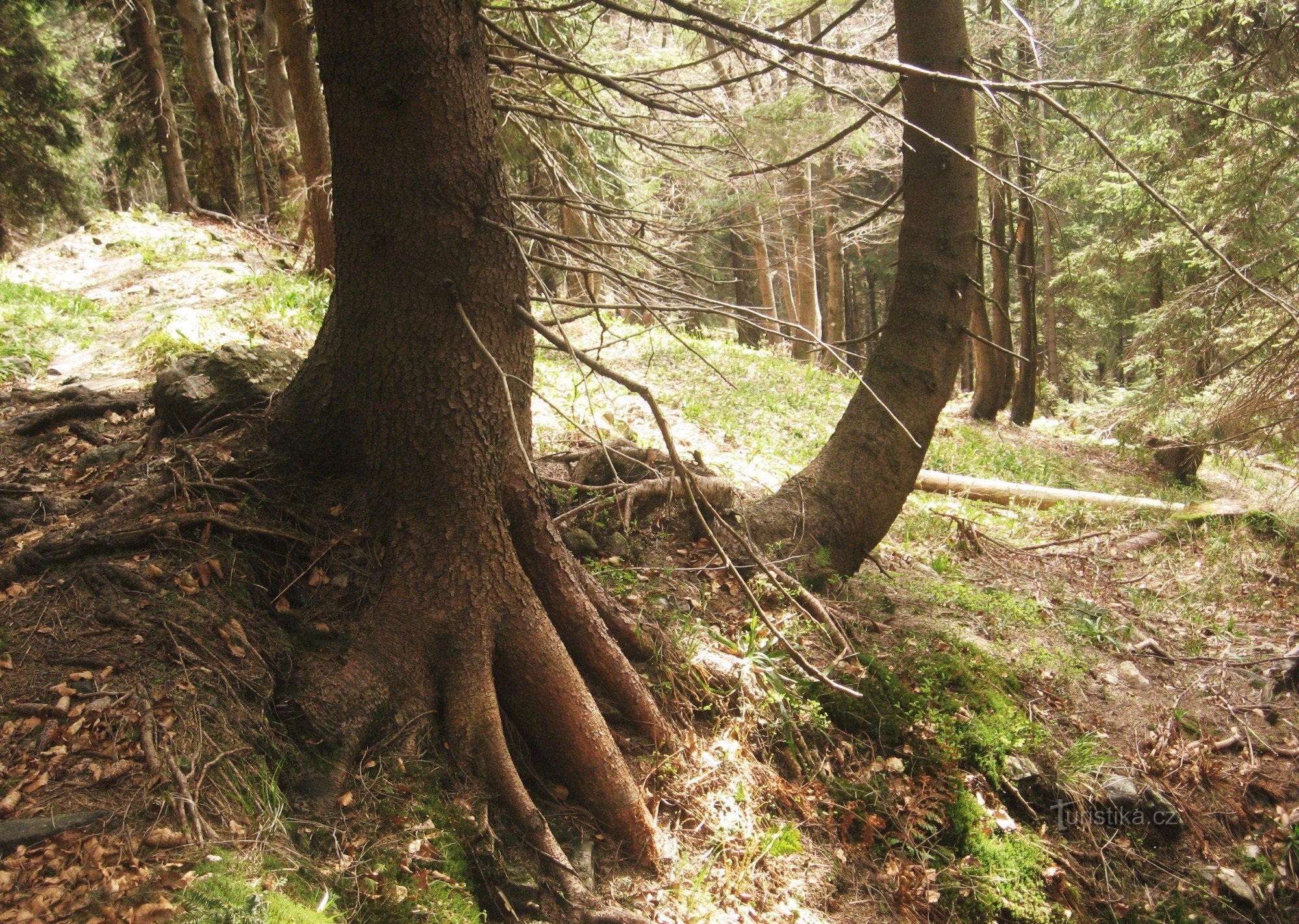 Auf dem Weg nach Hučivé Dedná