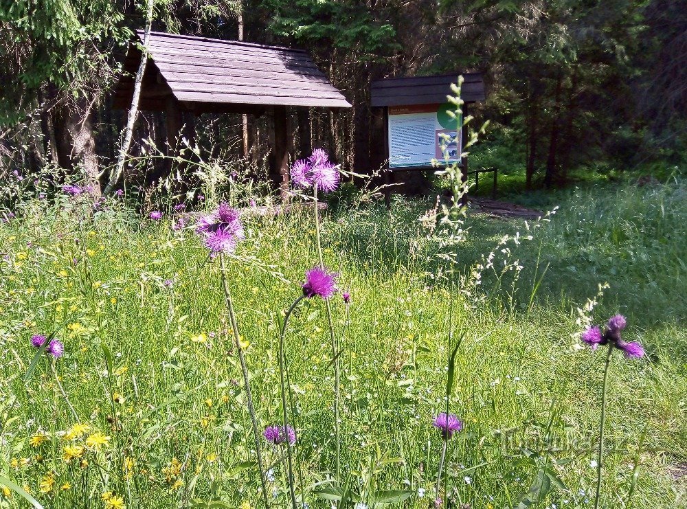 na poti do najbolj vzhodnega kota Češke