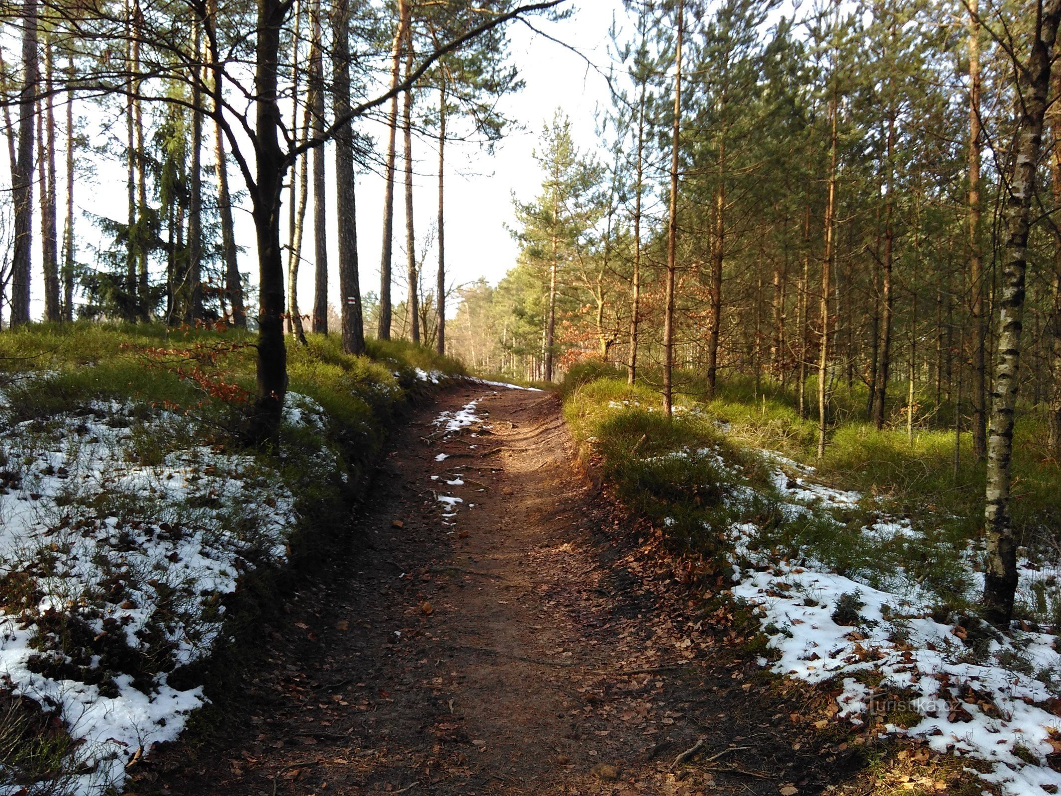 on the way to the turnoff to Růzová vyhlídka