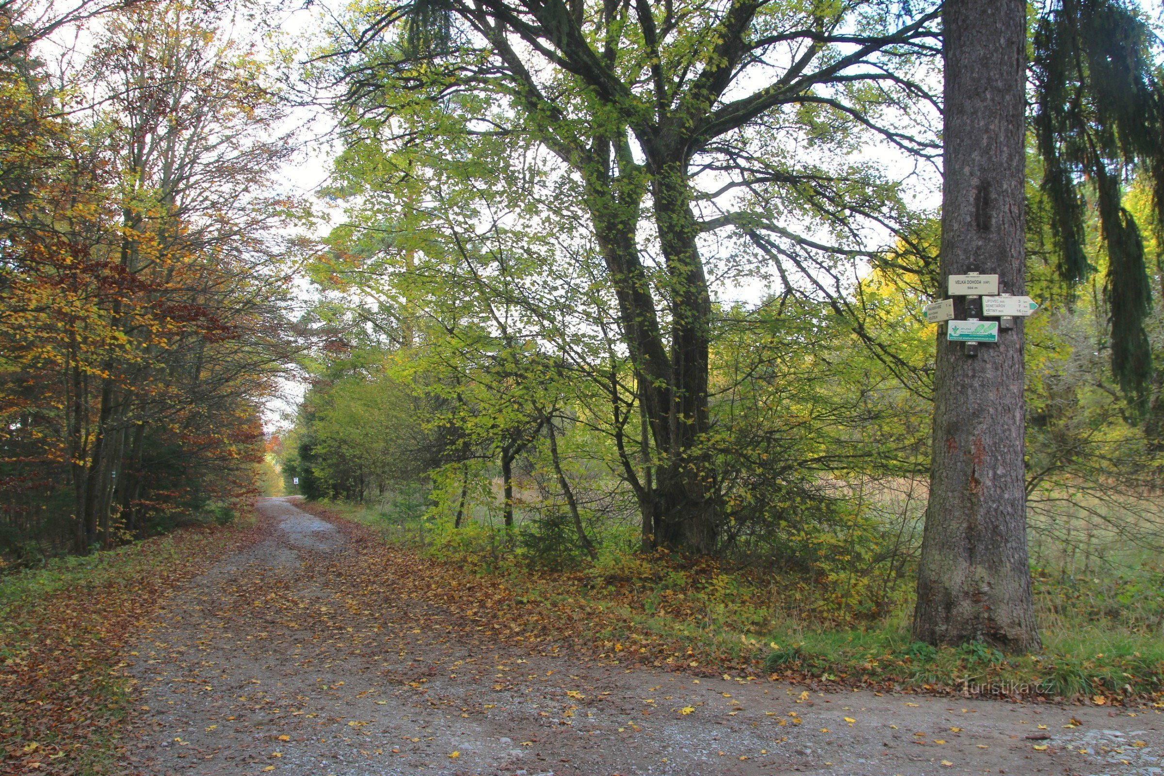 On the way to the parking lot and to the Hradské žleb valley