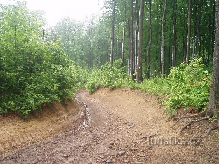 auf dem Weg zur Kreuzung Pod Baťková