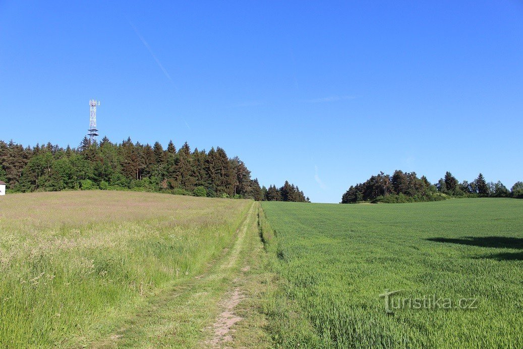 On the way to the observation tower