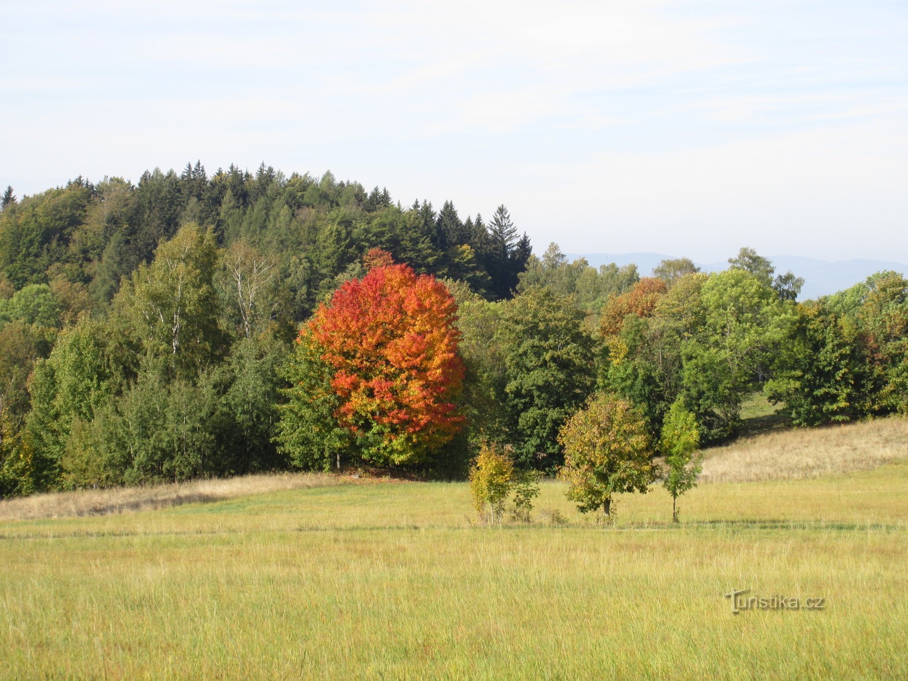 Auf dem Weg zum Aussichtsturm