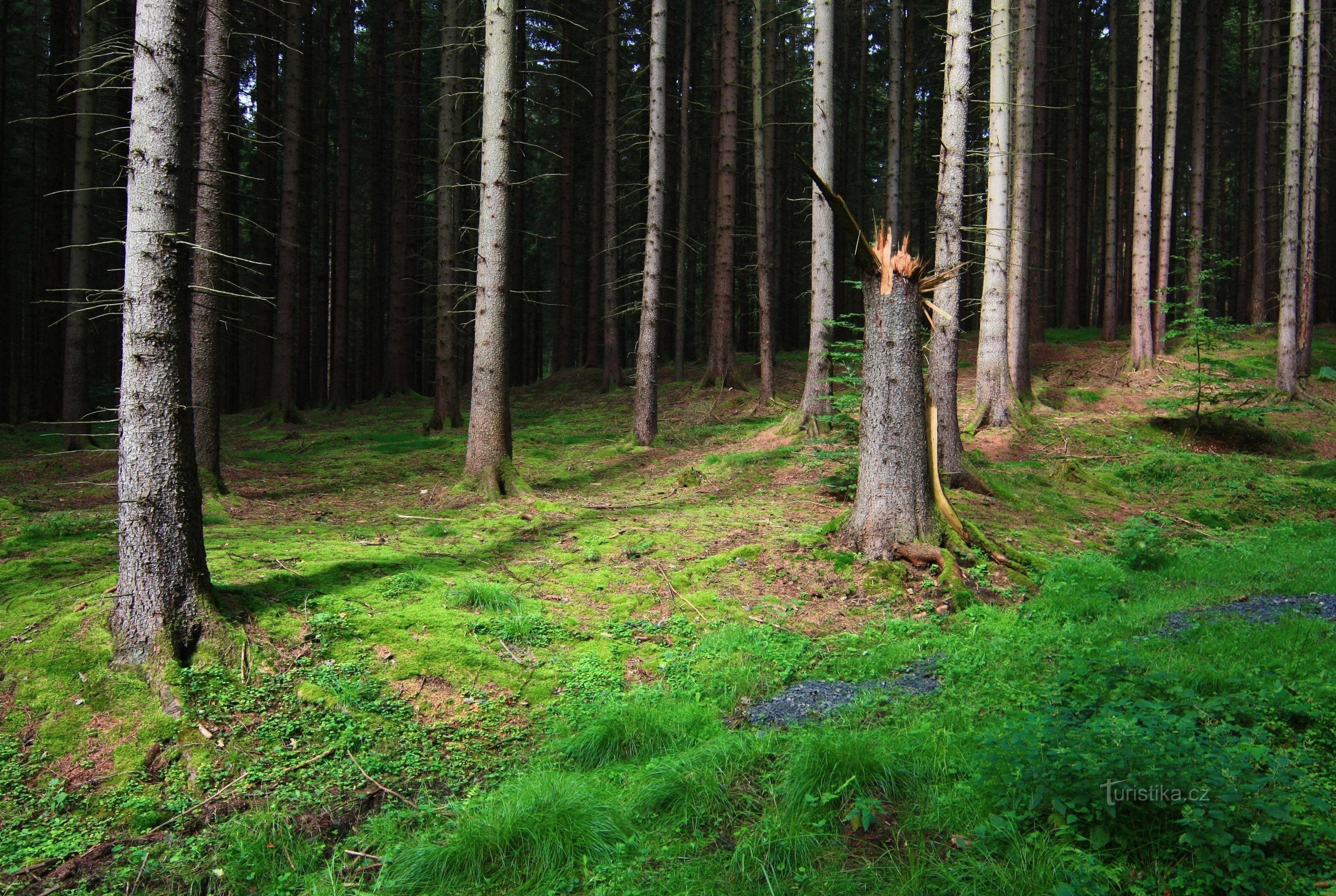 Op weg naar de Hřensko-kloven