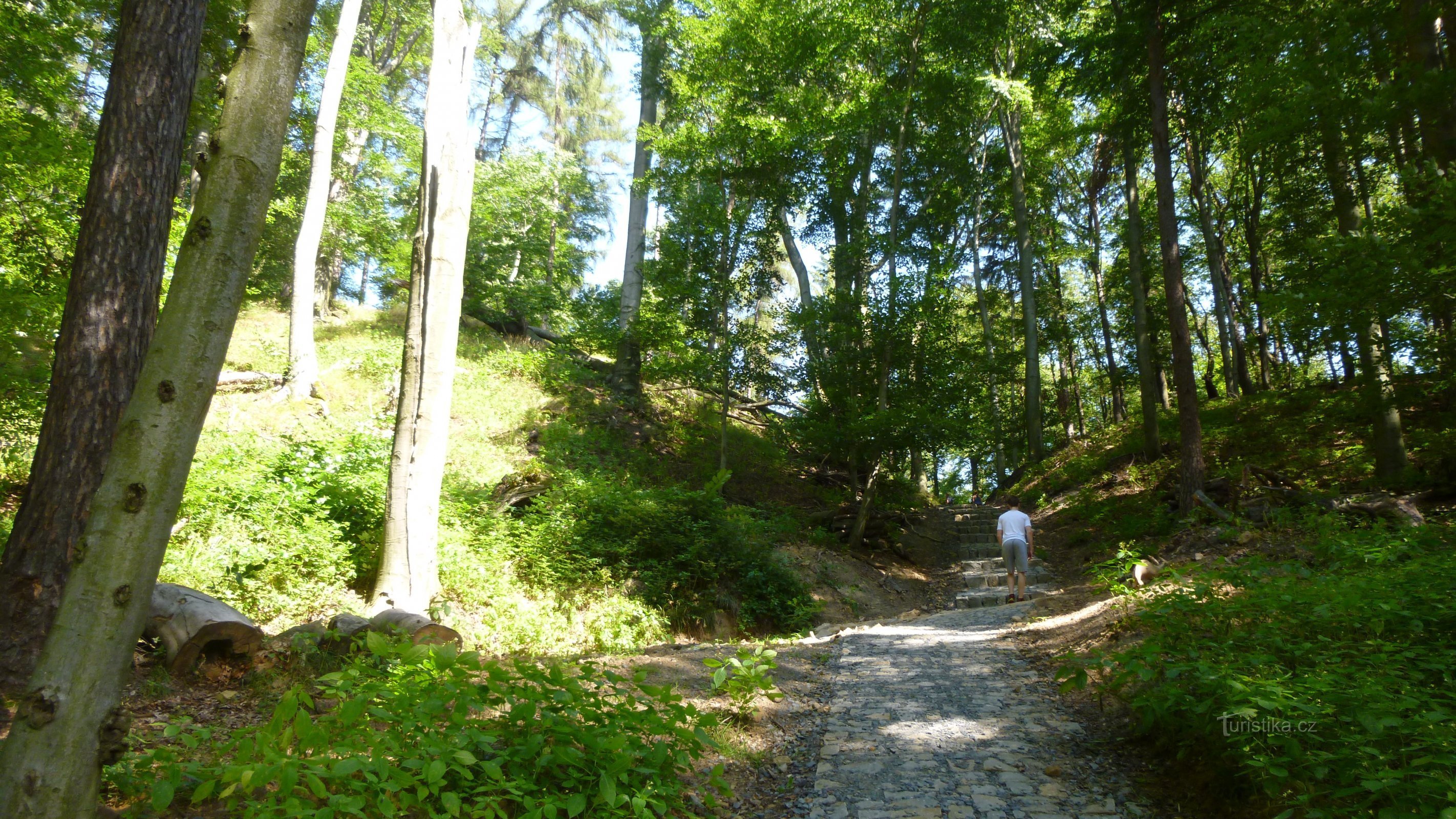 A caminho de S. Bárbara