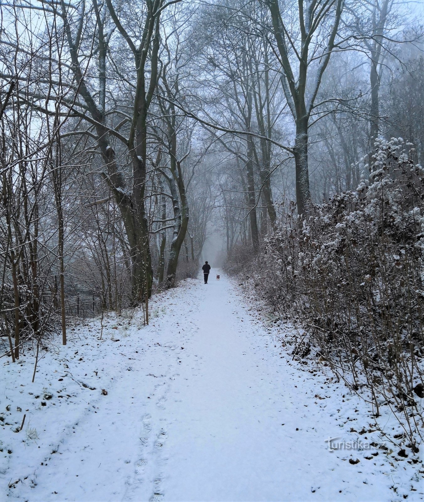 Sulla strada per la villa.