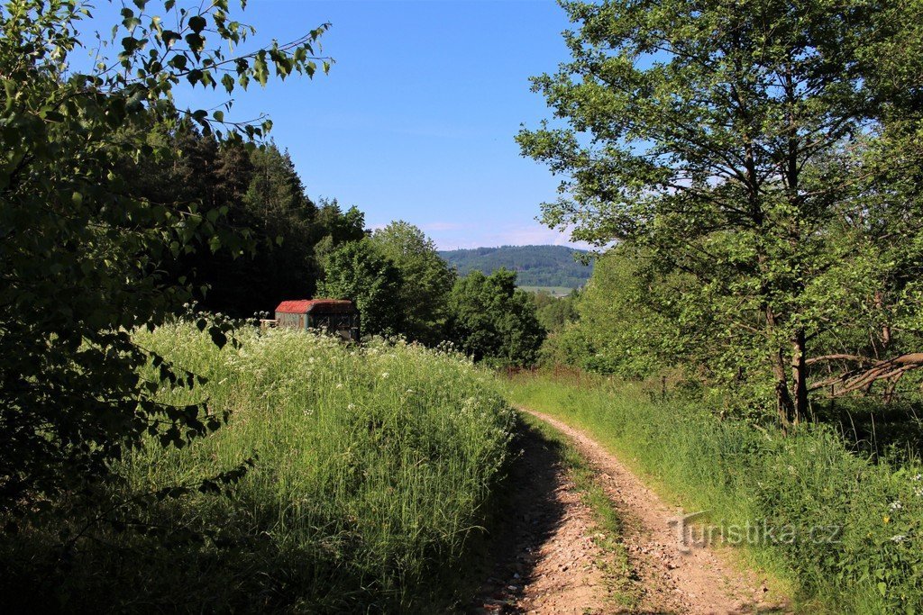 Sulla strada per la cima