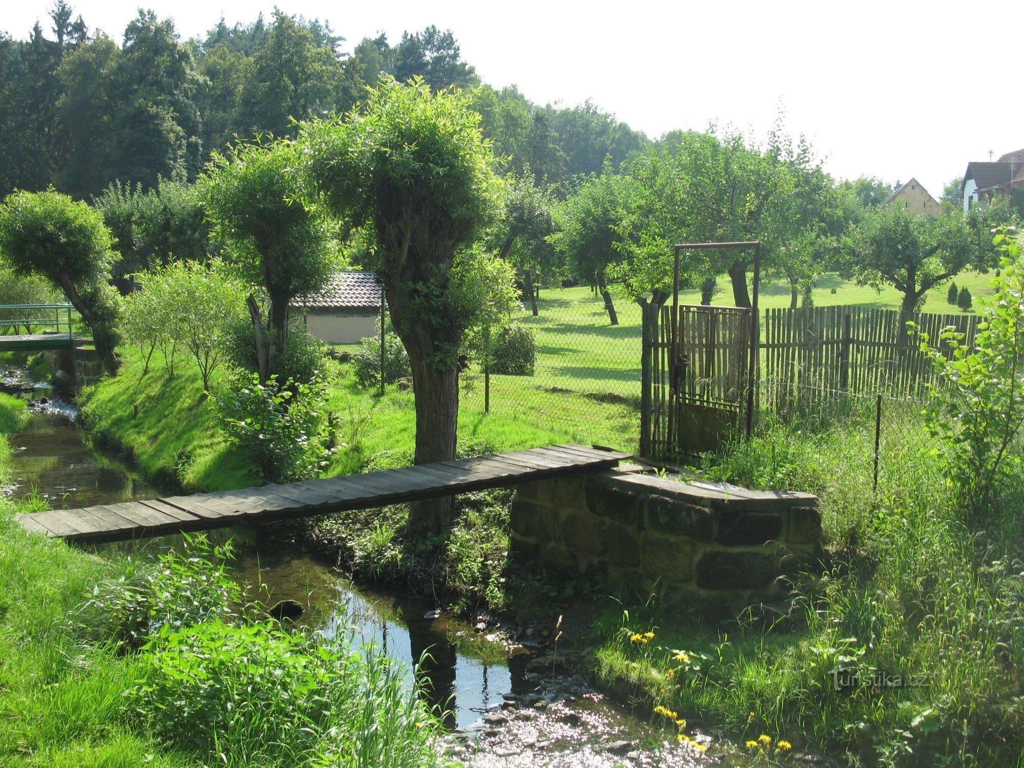 auf dem Weg zum Friedhof