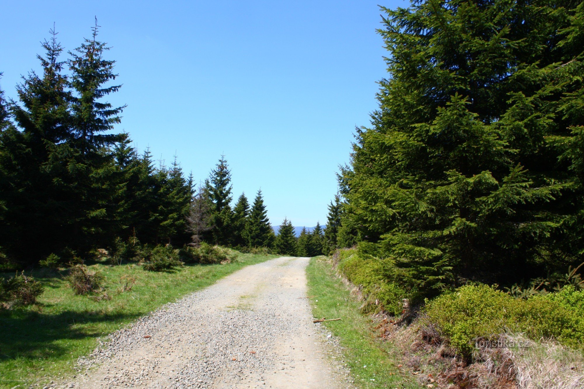 a caminho da casa de Paprsek