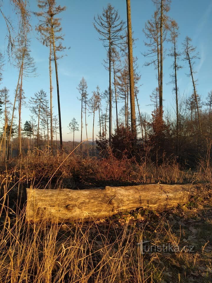 По дороге в Гостишову