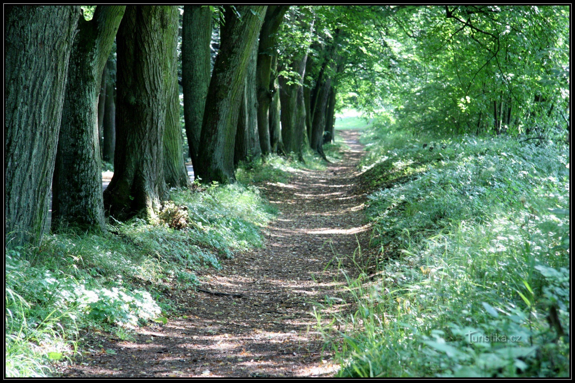 En route vers le château