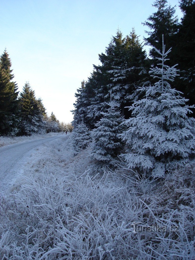 Sur le chemin de Mala Deštná