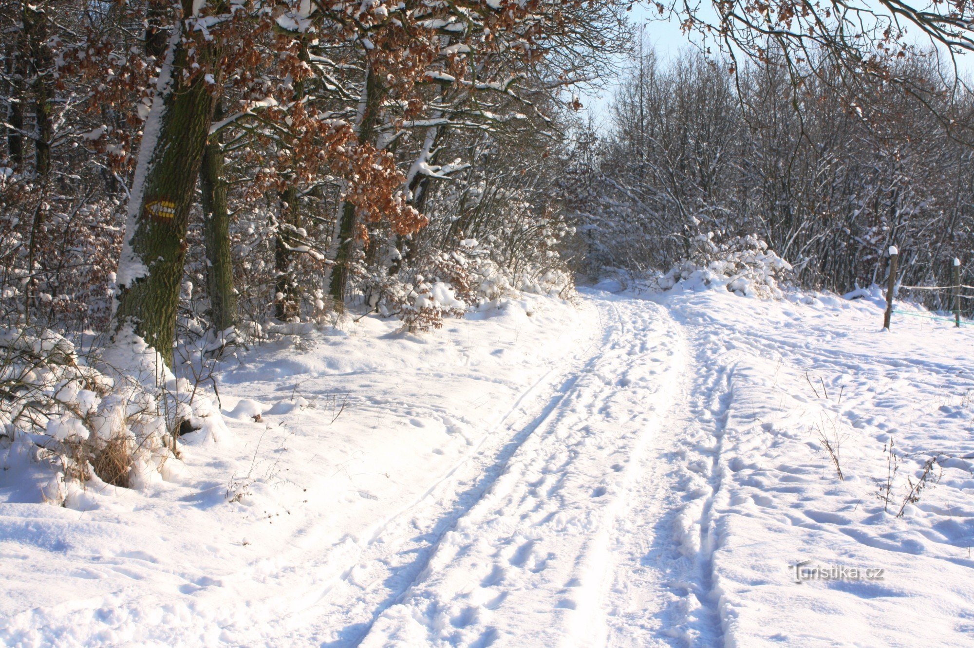 Sulla strada per Ostra Horka