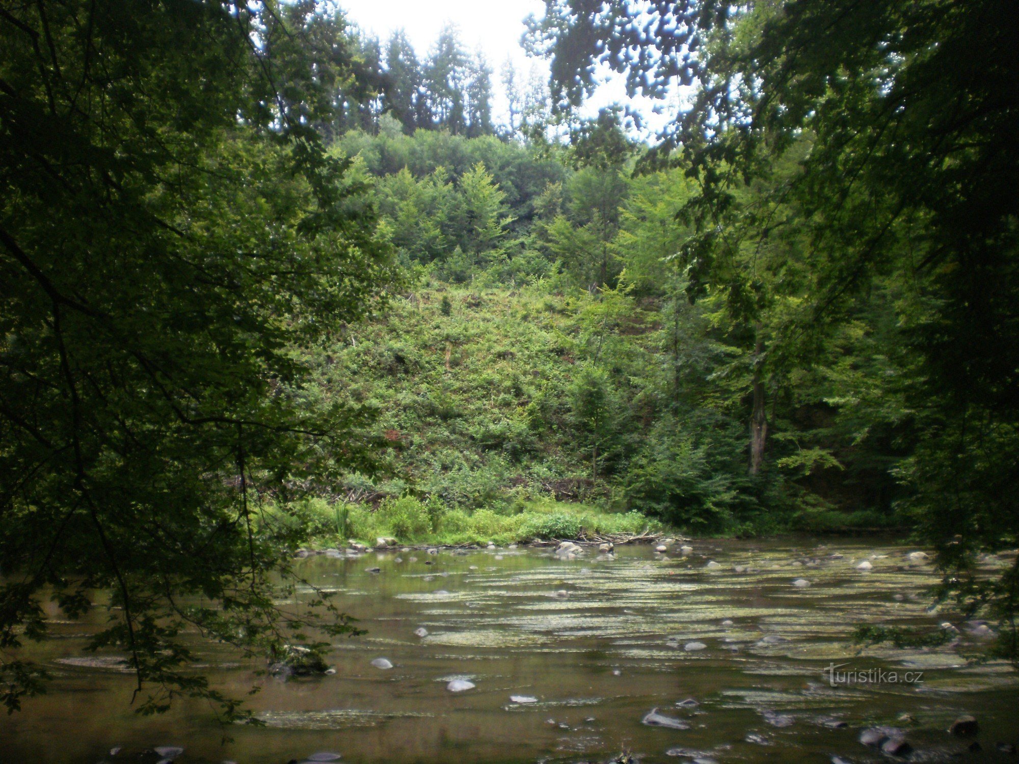 w drodze do Potštejn