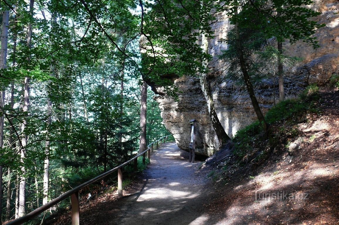 Sur le chemin de Pravčická brána