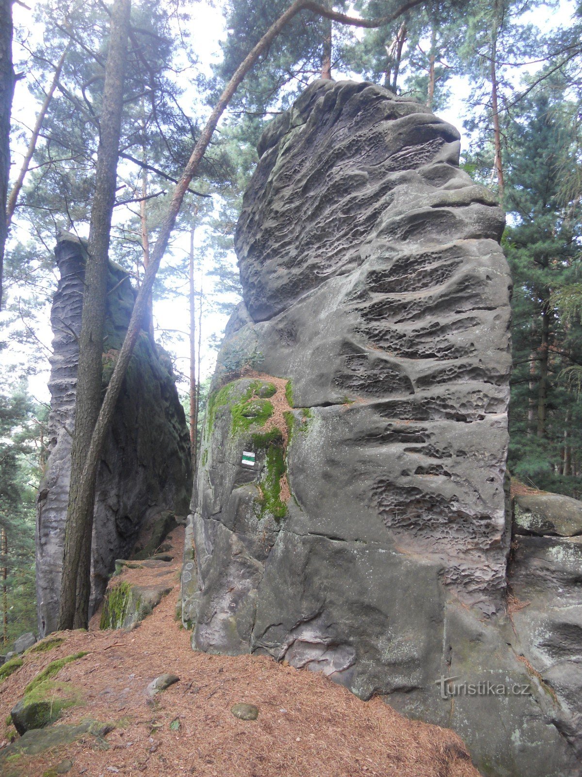 În drum spre Přivyšina 464 m.n.m