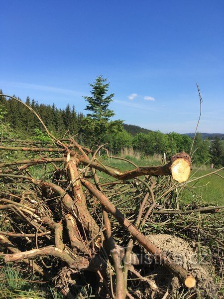 På väg till Vartovnas utsiktstorn