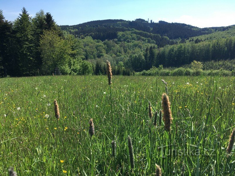 Sulla strada per la torre di osservazione di Vartovna