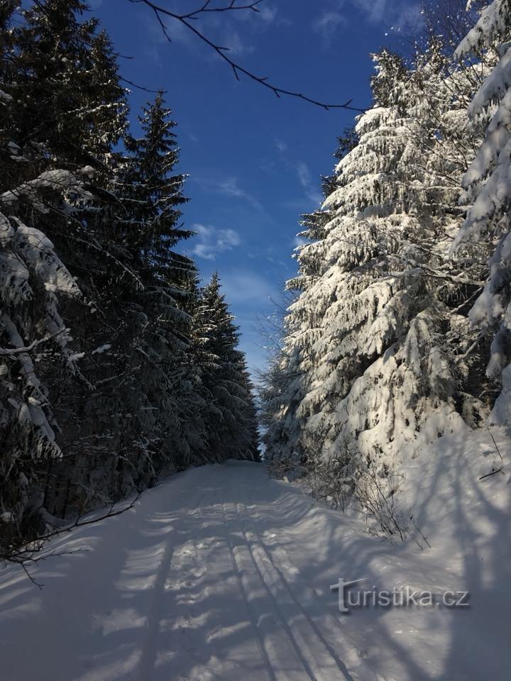 De camino al mirador de Velký Javorník