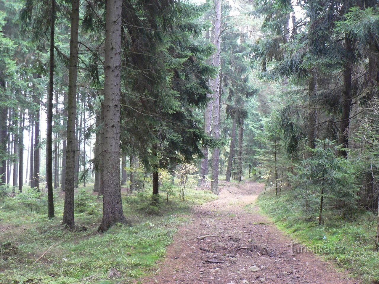 På väg till Stráž