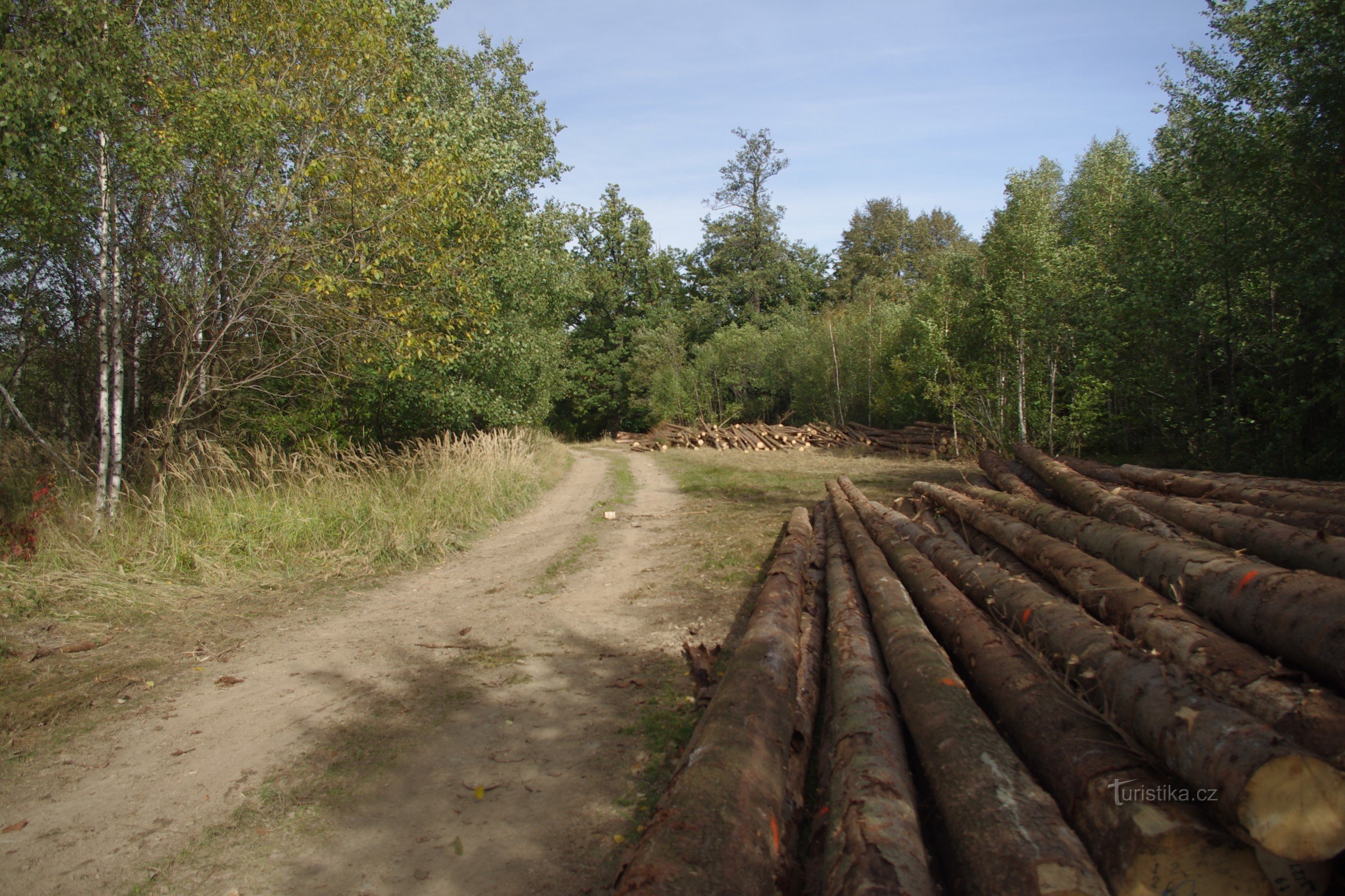 sur le chemin de Velký kopec