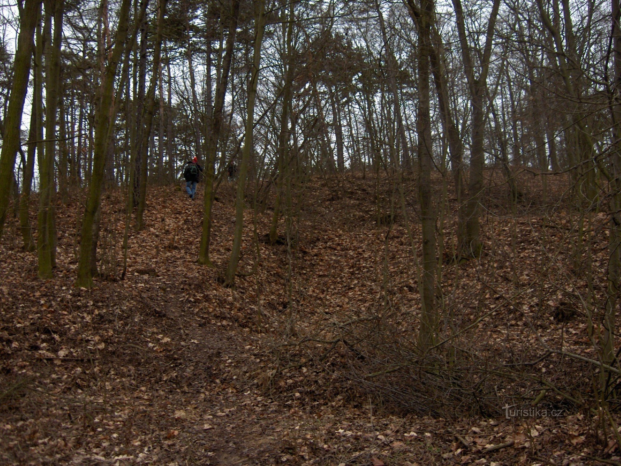 auf dem weg nach oben