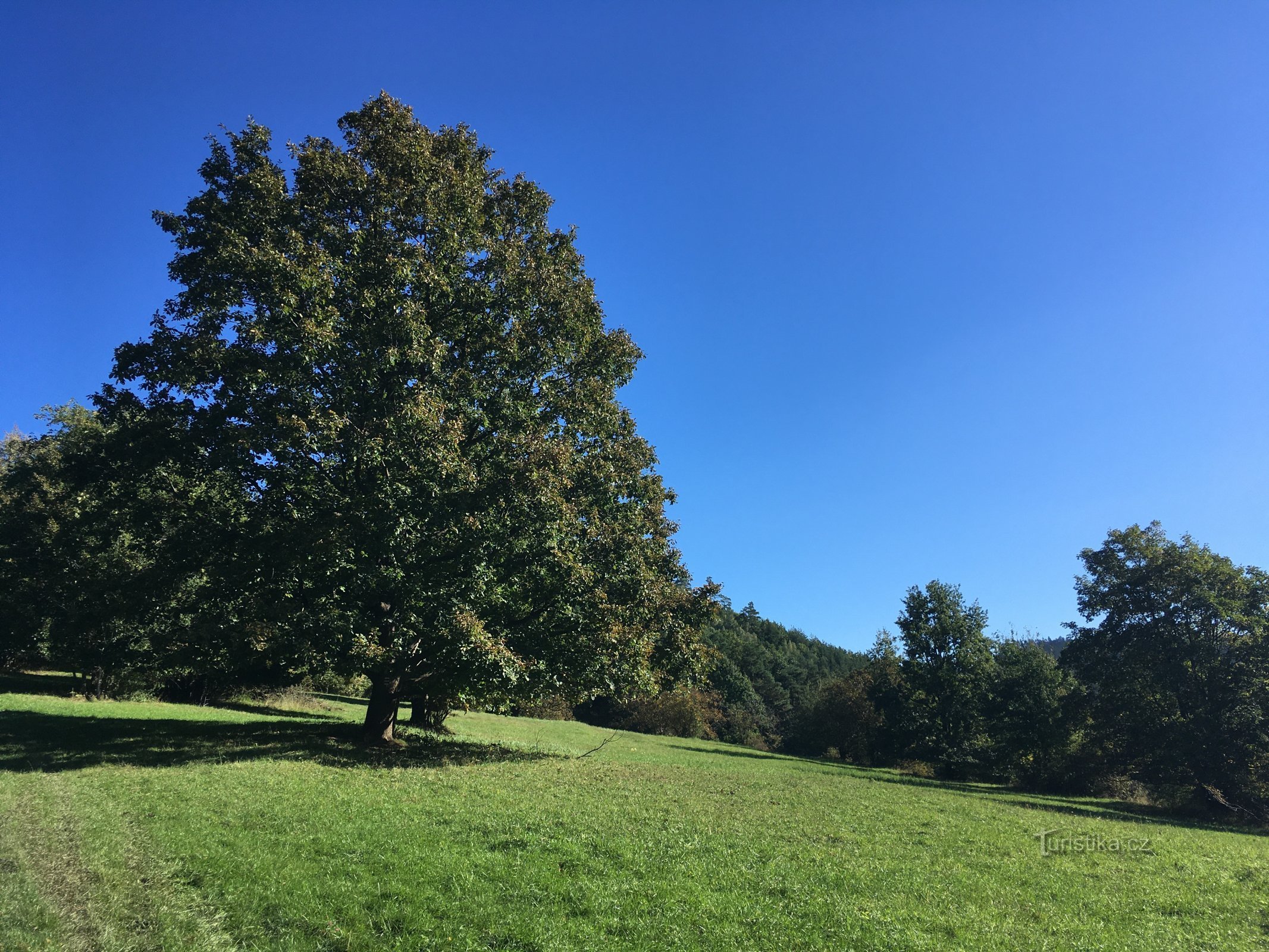 On the way to the ruins of Lukov Castle