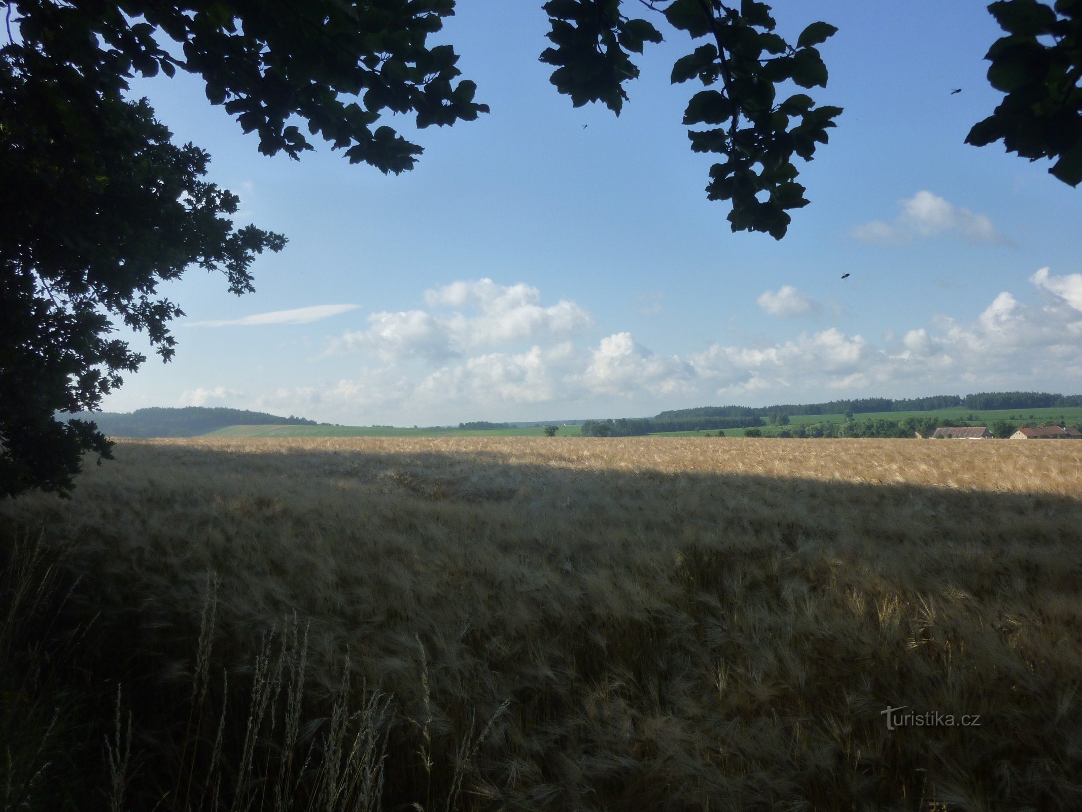 Sur le chemin au-dessus de Kostelec