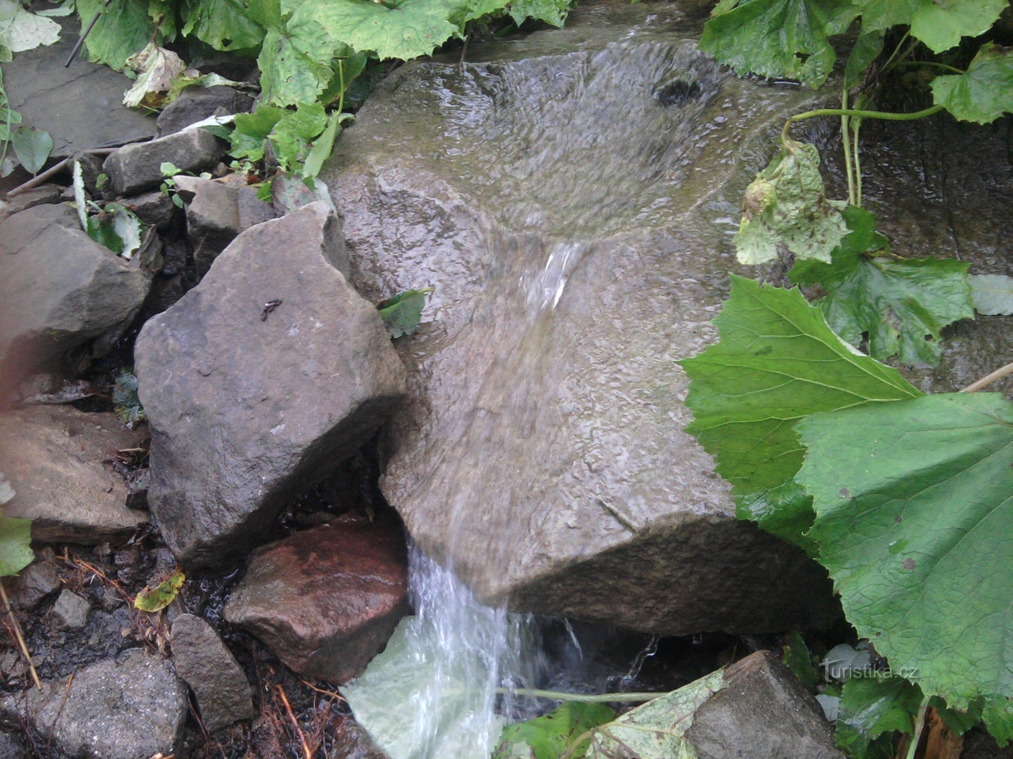 途中に湧き水があります