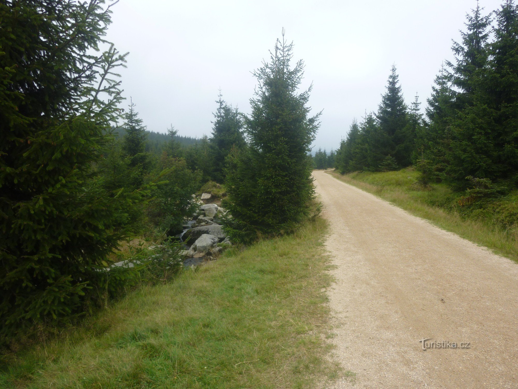 ils ne marchent pas sur la route