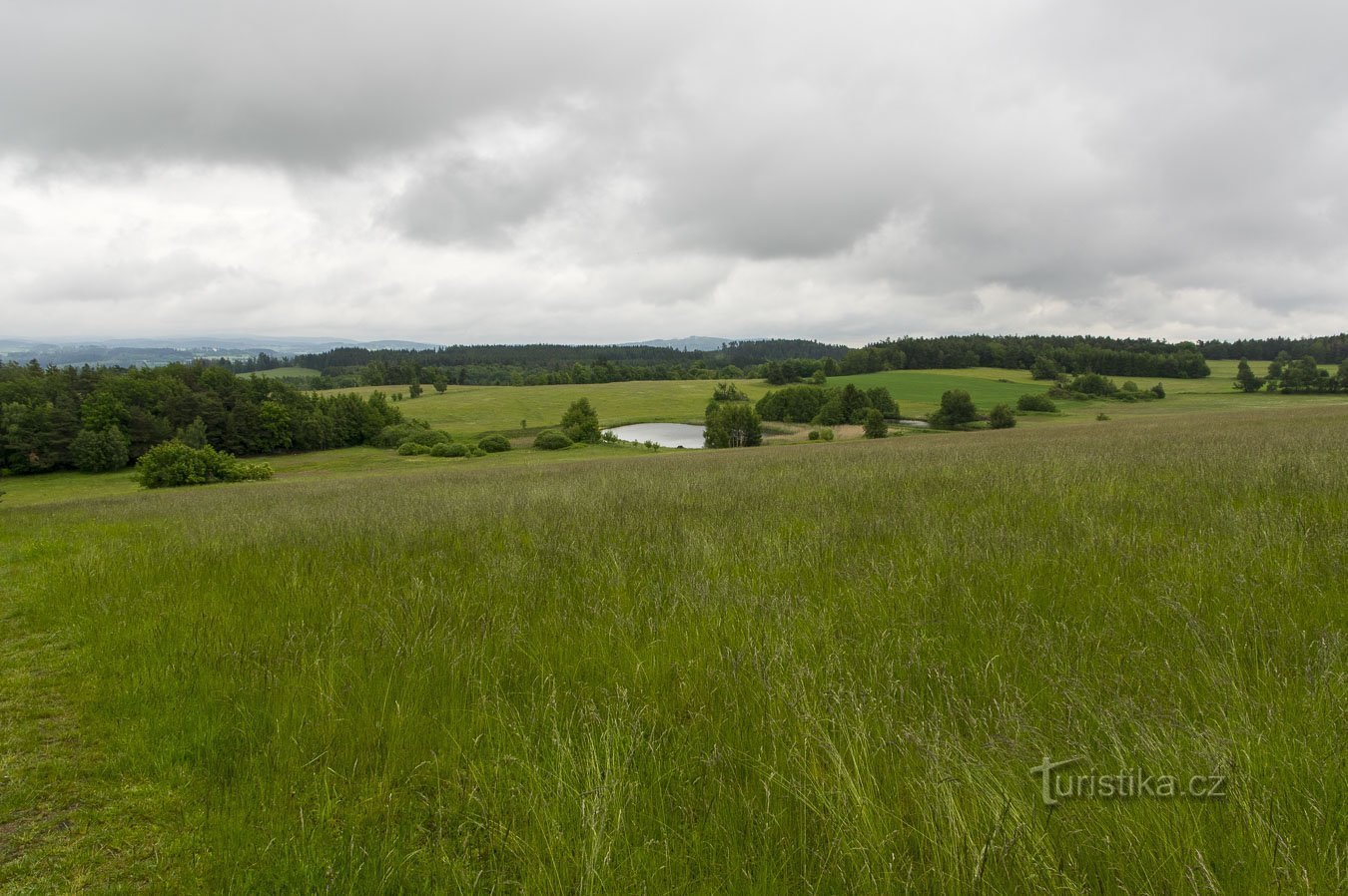 On the way from Suchdol